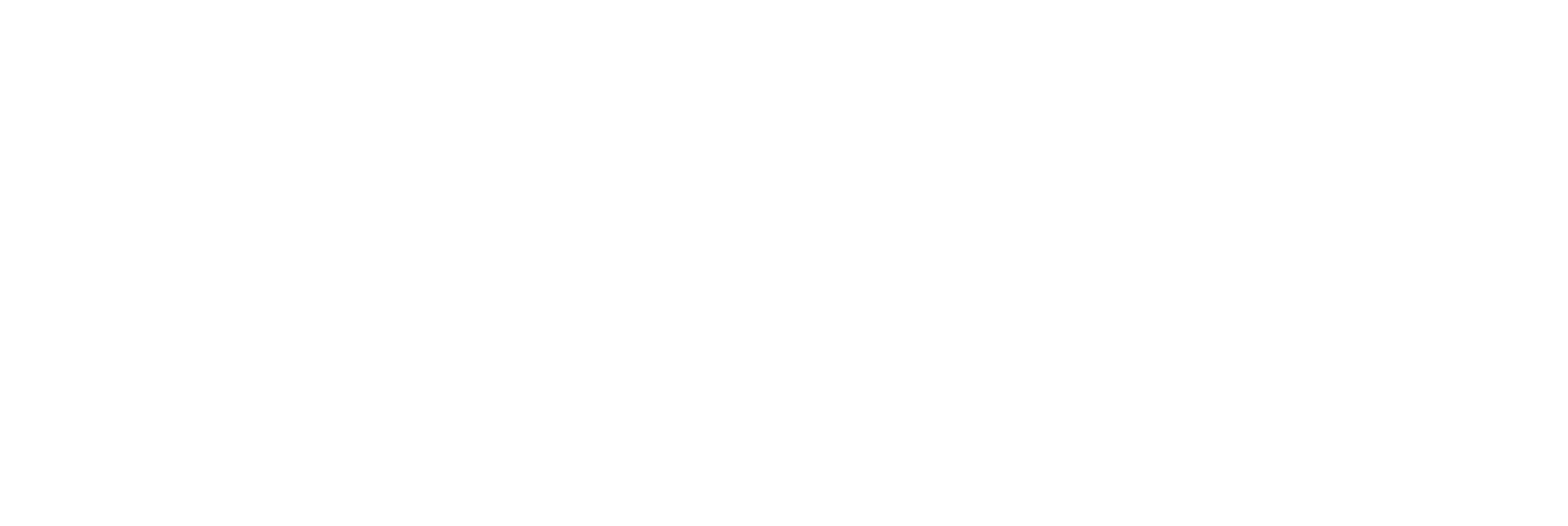 Hidden Warrior Full Logo White